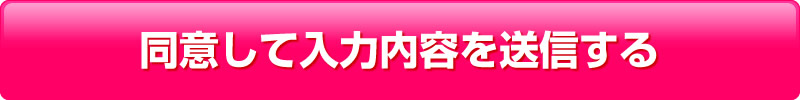 同意して入力内容を確認する